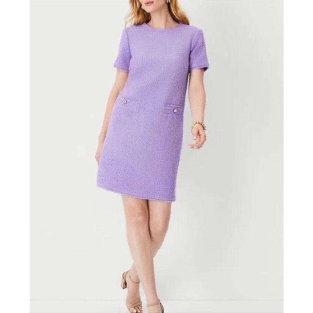 Ann Taylor Tweed Shift Dress in Lilly Lavender Button Pockets Wool 14